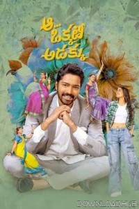 Aa Okkati Adakku (2024) Telugu Movie