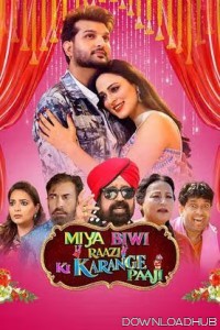 Miya Biwi Raazi Ki Karange Paaji (2024) Punjabi Movie